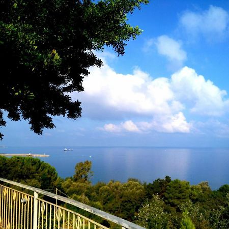 Villa Desideria A Pizzo Пицо Екстериор снимка